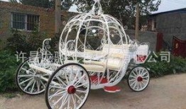 皇家马车爆料视频大全最新,揭秘王室生活幕后精彩瞬间