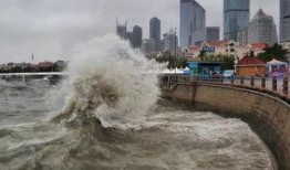 青岛台风爆料事件视频,视频揭露惊人现场